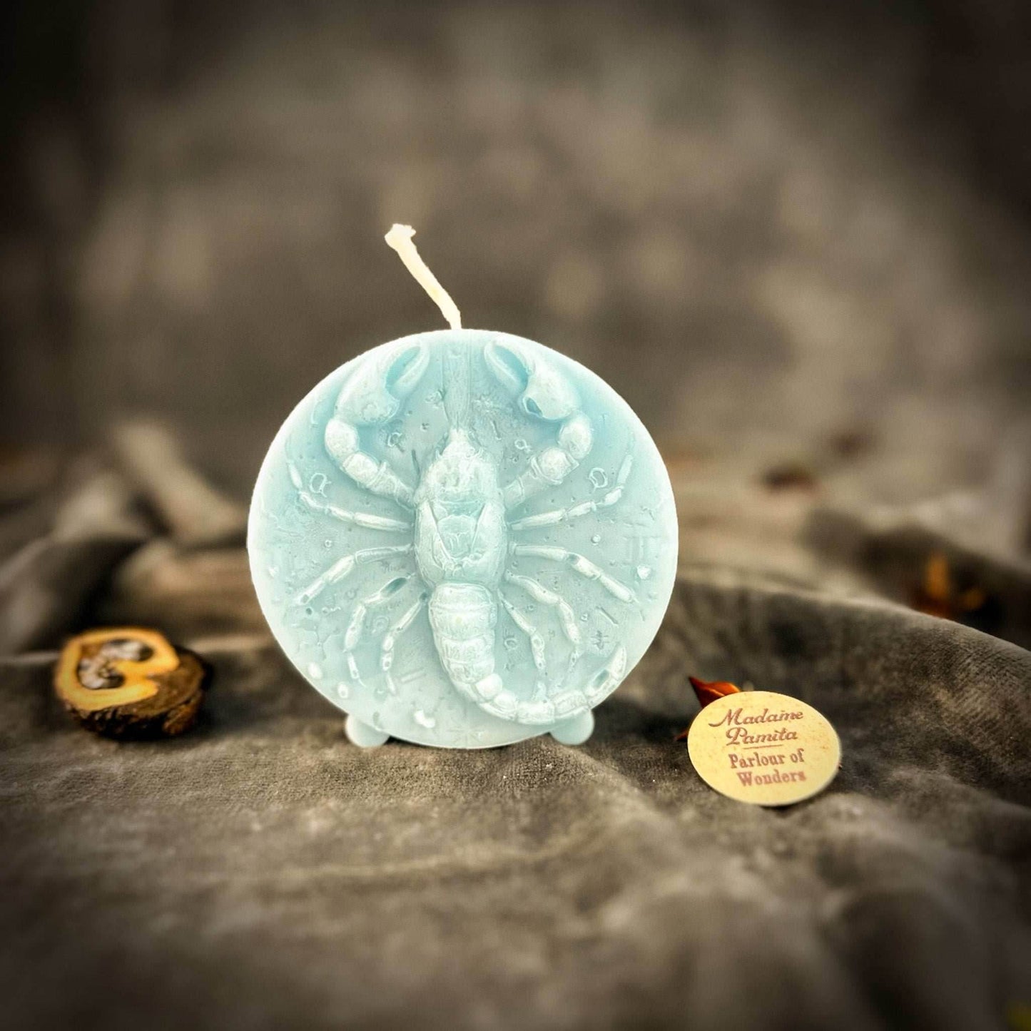 Beeswax Scorpio Scorpion Zodiac Spell Candle - Blue (Reconciliation)
