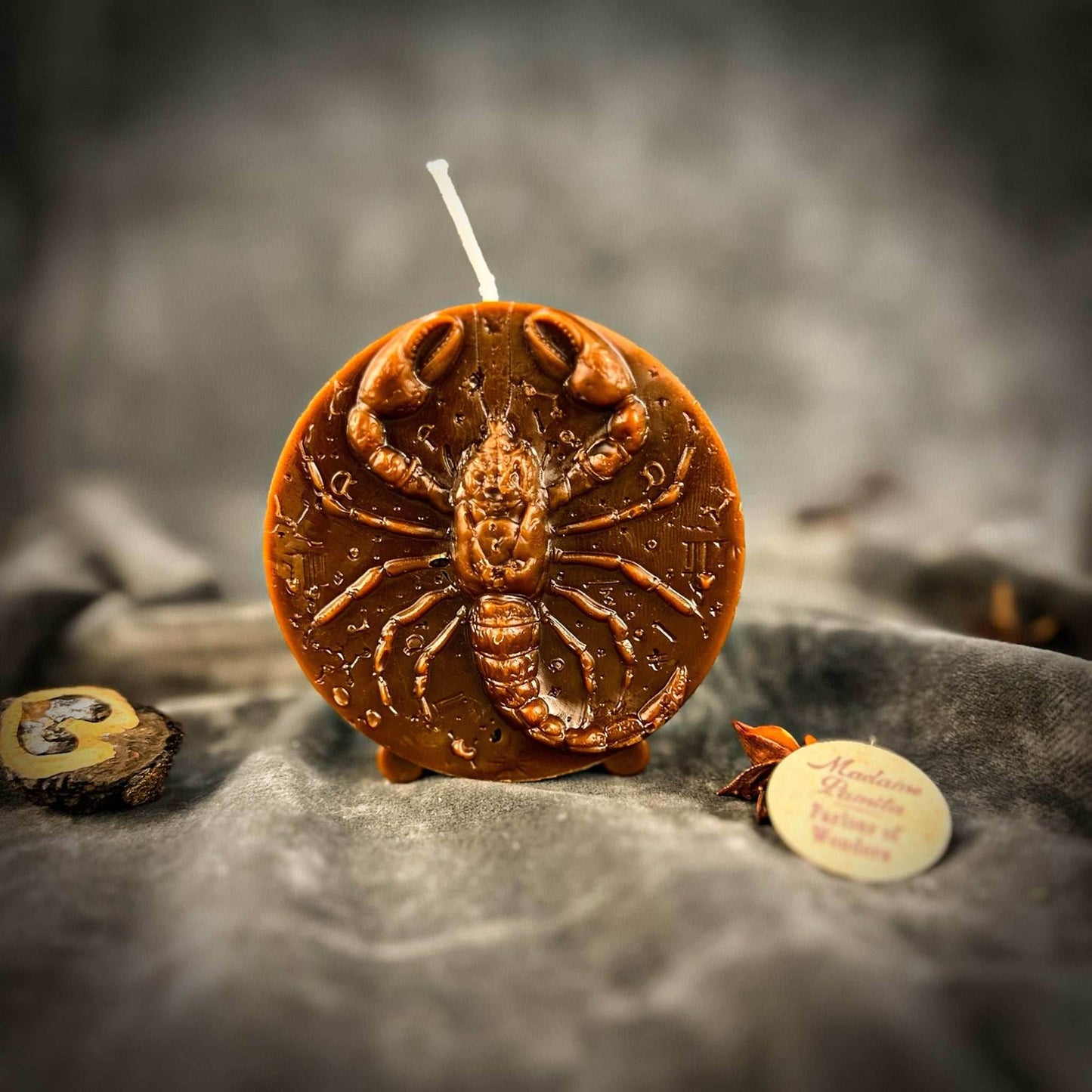 Beeswax Scorpio Scorpion Zodiac Spell Candle - Brown (Grounding)