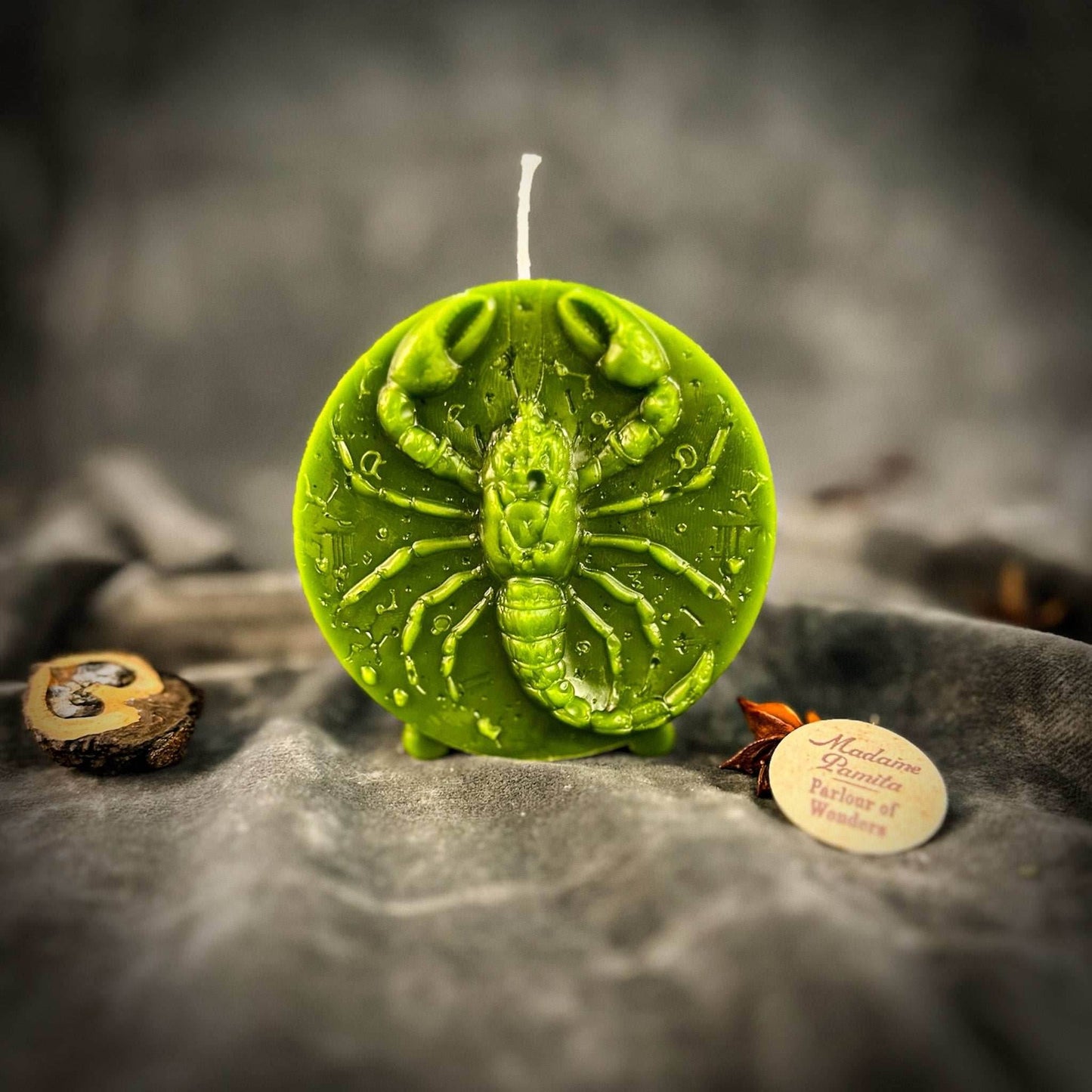 Beeswax Scorpio Scorpion Zodiac Spell Candle - Green (Prosperity)