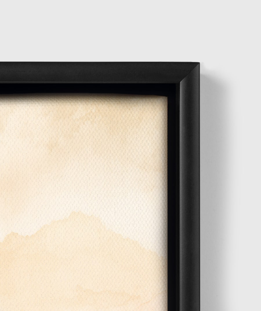 Tatooine Binary Sunset Star Wars Framed Canvas Art