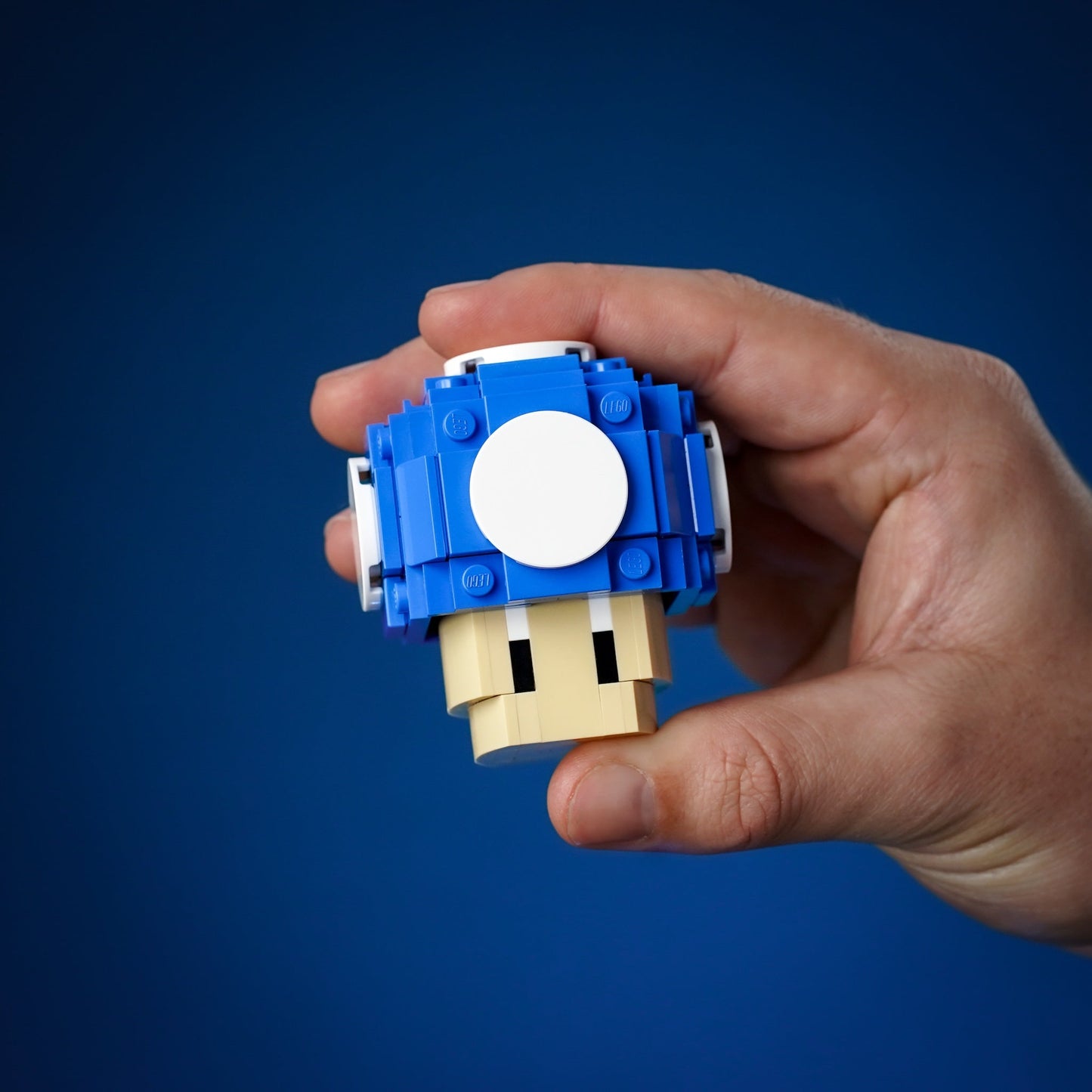 Life-Sized Tiny Blue Mushroom