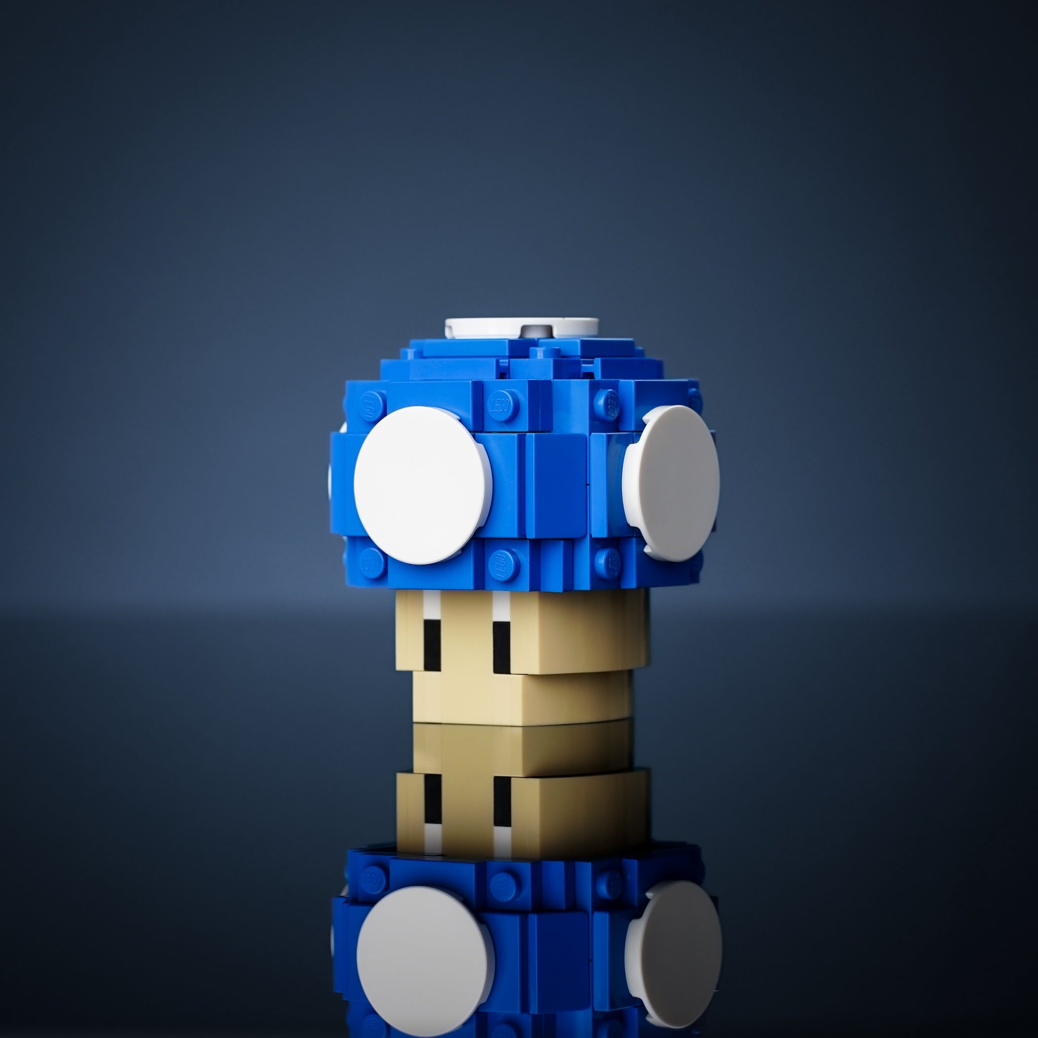Life-Sized Tiny Blue Mushroom