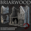 Briarwood Shop 2 Ruins