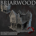 Briarwood Shop 3 Ruins