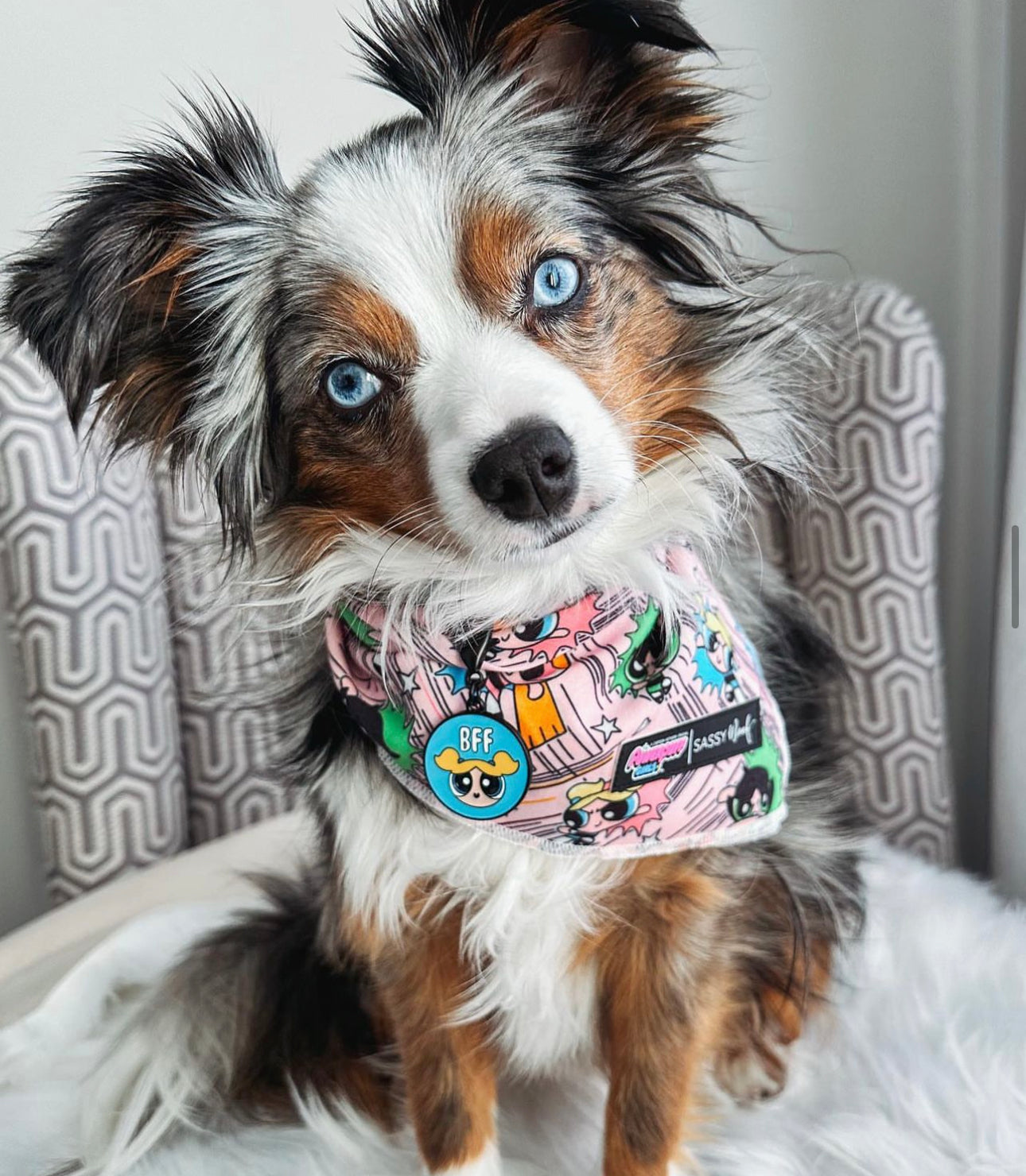 Collar Tag - Bubbles™