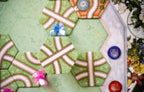 Butterfly Garden - 