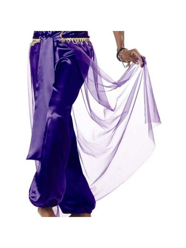 Adult Purple Belly Dancer Costume