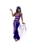 Adult Purple Belly Dancer Costume