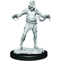 Critical Role: Husk Zombies - 