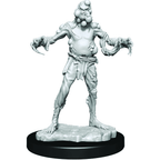 Critical Role: Husk Zombies - 