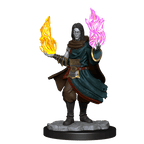 Critical Role: Hollow One Rogue and Sorceror Male - 