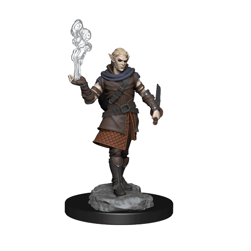 Critical Role: Pallid Elf Rogue and Bard Male - 