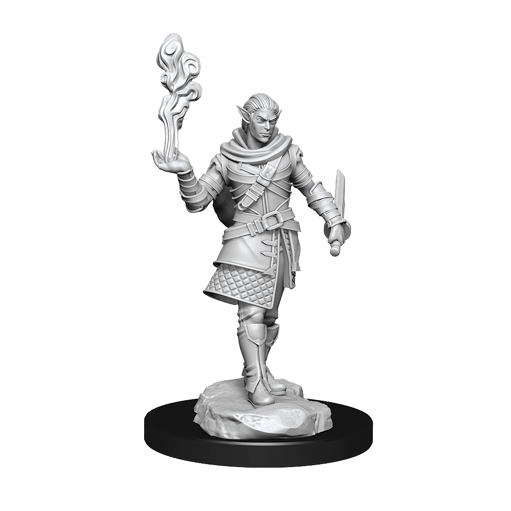 Critical Role: Pallid Elf Rogue and Bard Male - 