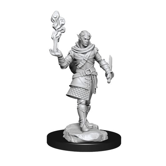 Critical Role: Pallid Elf Rogue and Bard Male - 