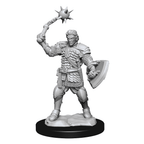 Critical Role: Human Clovis Concord Cleric Male - 