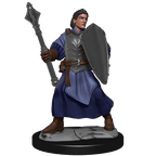 Critical Role: Human Clovis Concord Cleric Male - 