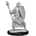 Critical Role: Human Clovis Concord Cleric Male - 