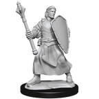 Critical Role: Human Clovis Concord Cleric Male - 