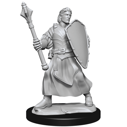 Critical Role: Human Clovis Concord Cleric Male - 