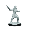 Critical Role: Human Dwendalian Empire Fighter Female - 