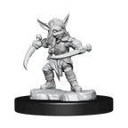 Critical Role: Goblin Sorceror and Rogue Female - 