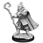 Critical Role: Hobgoblin Wizard and Druid Male - 