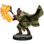 Critical Role: Hobgoblin Wizard and Druid Male - 