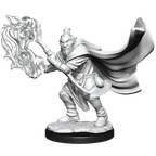 Critical Role: Hobgoblin Wizard and Druid Male - 