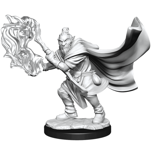 Critical Role: Hobgoblin Wizard and Druid Male - 