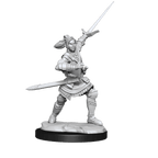 Critical Role: Half-Elf Paladin Xhorhas Female - 