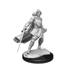 Critical Role: Half-Elf Paladin Xhorhas Female - 