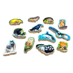 Canopy Evergreen - 