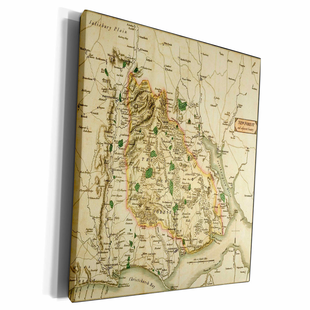 3dRose Florene Fairies n Fantasy - Ancient Fantasy Map - Museum Grade Canvas Wrap (cw_52328)