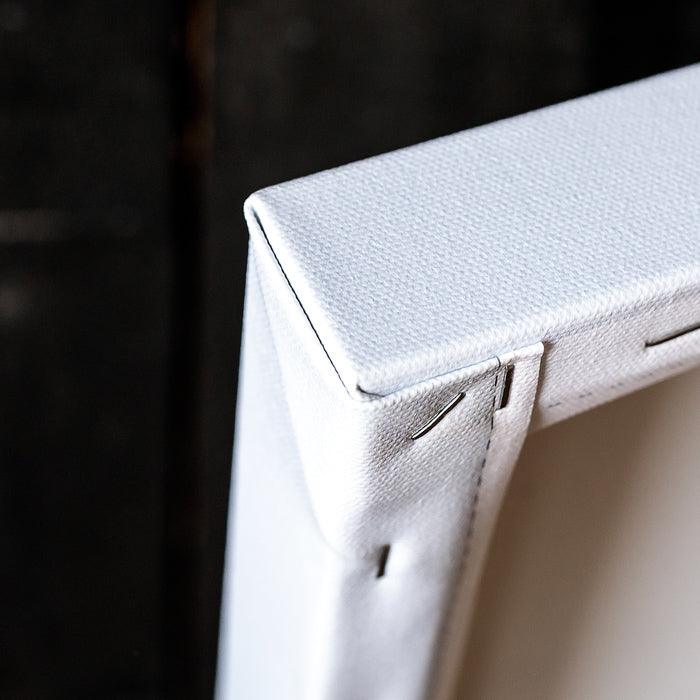 Pegasus D&D Canvas Artwork