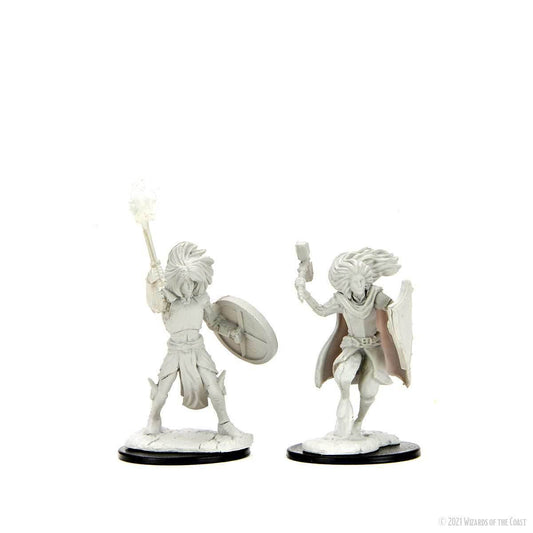 D&D: Nolzur's Marvelous Miniatures - Changeling Cleric - 