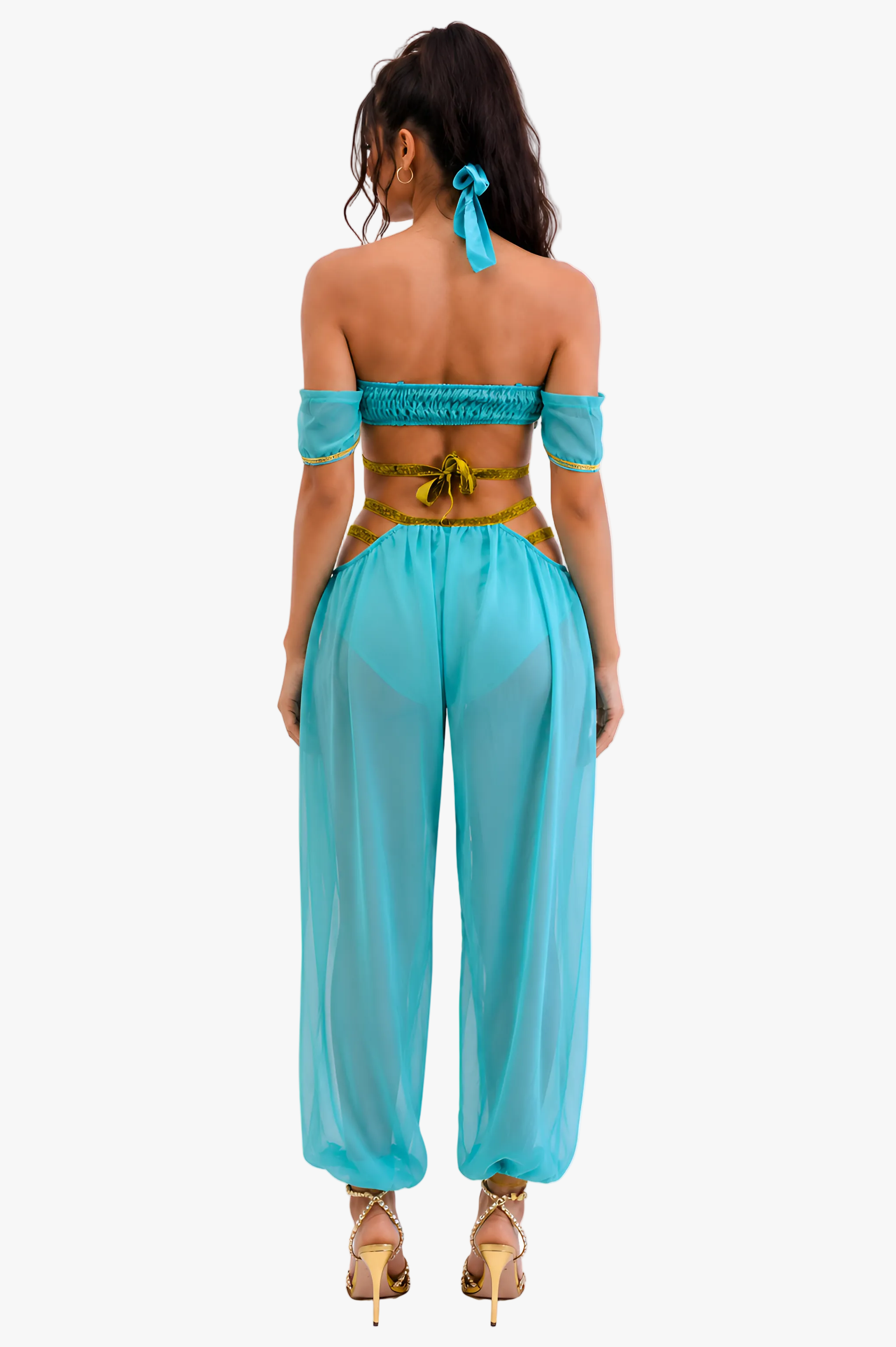 Princess of the Dunes Arabian Costume