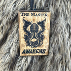 The Master Awakens