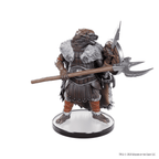 D&D: Icons of the Realms - 50th Anniversary Booster - 