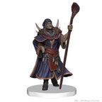 D&D: Icons of the Realms - The Wild Beyond the Witchlight - League of Malevolence Starter Set - 