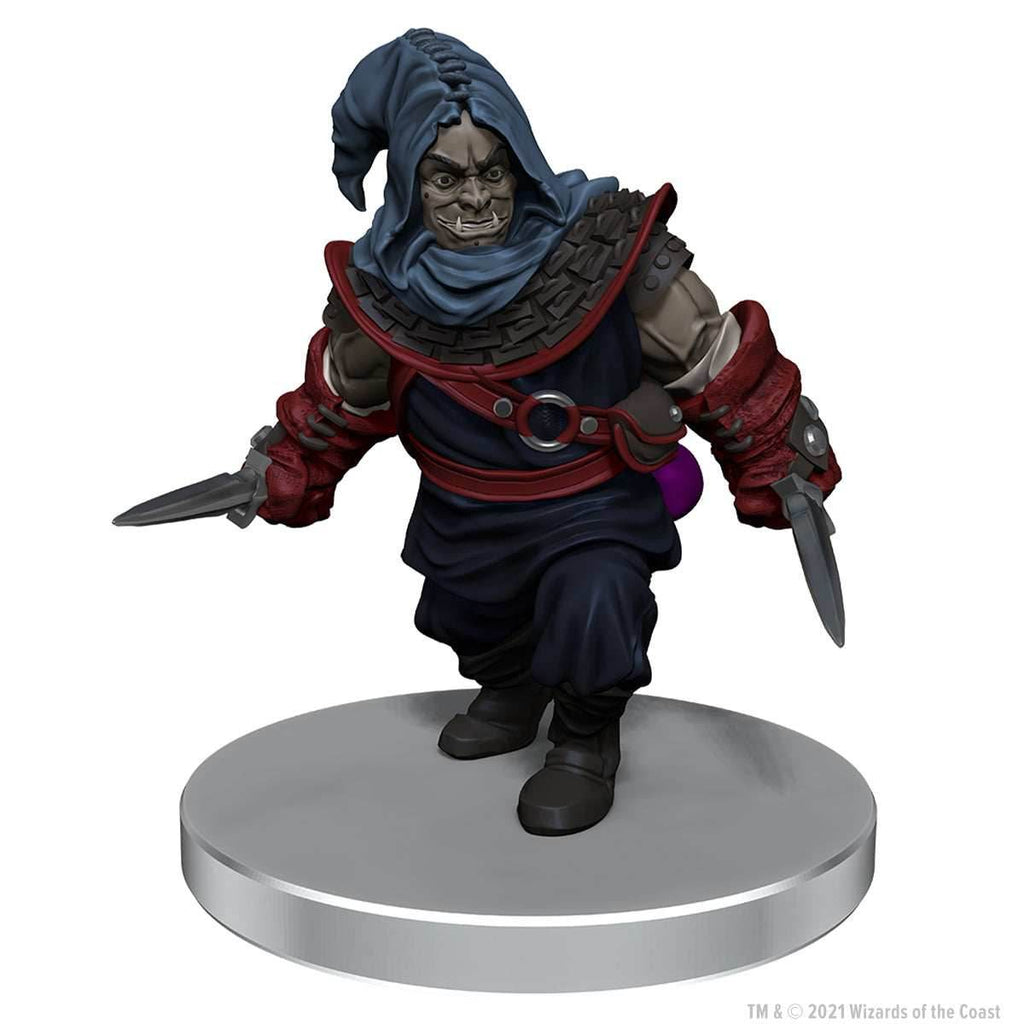 D&D: Icons of the Realms - The Wild Beyond the Witchlight - League of Malevolence Starter Set - 