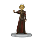 D&D: Icons of the Realms - Showdown Setting - The Temple of Light - 