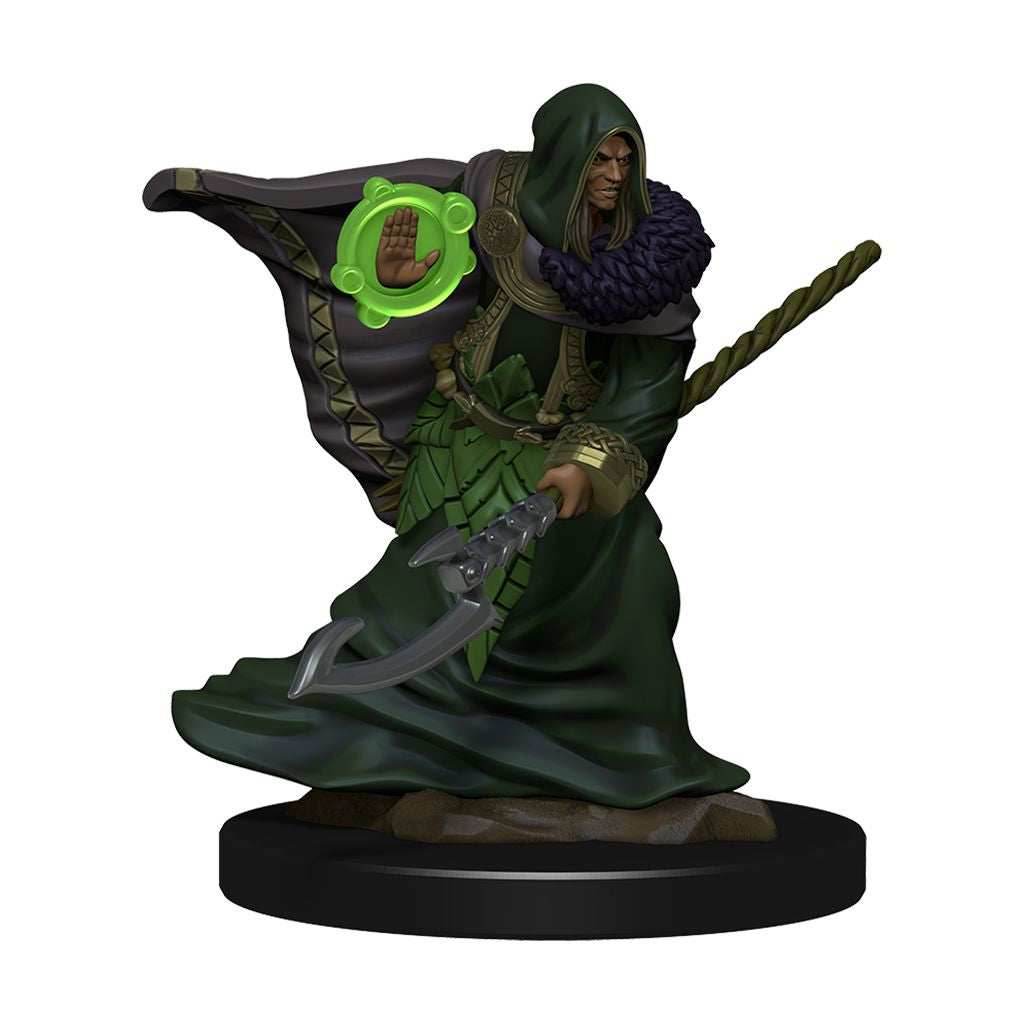 D&D: Icons of the Realms - Elf Druid Male - 