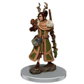 D&D: Icons of the Realms - Female Human Druid Premium Figure - 