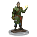D&D: Icons of the Realms - Male Half-Elf Bard Premium Figure - 