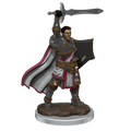 D&D: Icons of the Realms - Male Human Paladin Premium Figure - 
