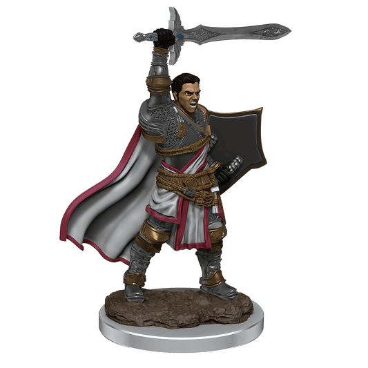 D&D: Icons of the Realms - Male Human Paladin Premium Figure - 