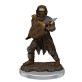 D&D: Icons of the Realms - Male Human Fighter Premium Figure - 