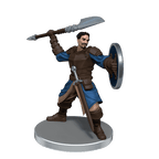 D&D: Icons of the Realms - Dragonlance: Kalaman Military Warband - 