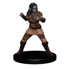 D&D: Icons of the Realms - The Yawning Portal Inn - Friendly Faces Pack - 