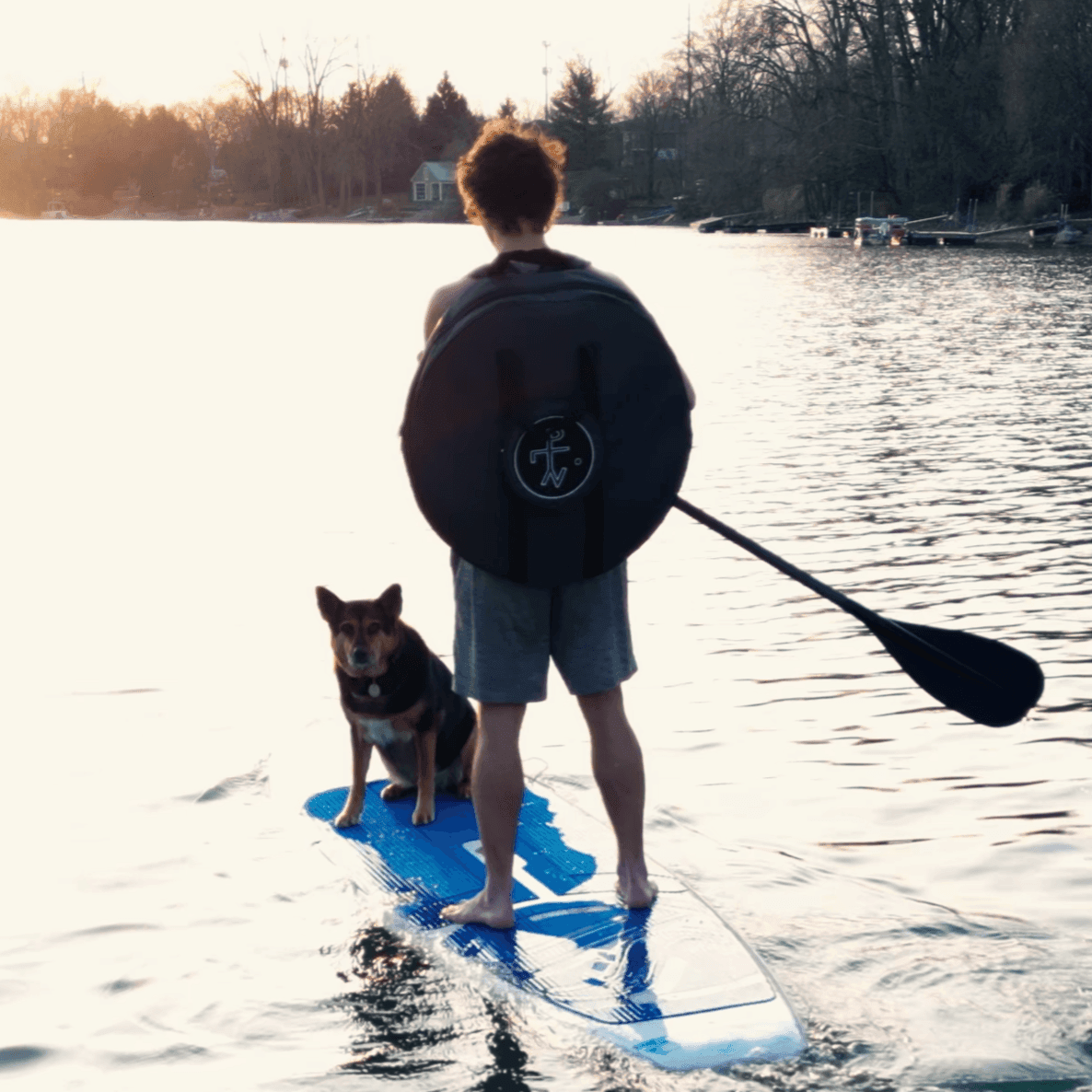 Carry⦿Cases - Standard